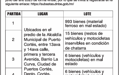 AVISO DE SUBASTA PÚBLICA DIRECCIÓN NACIONAL DE BIENES DEL ESTADO ALCALDÍA MUNICIPAL DE PUERTO CORTÉS