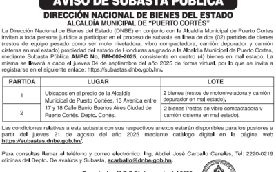 AVISO DE SUBASTA PÚBLICA DIRECCIÓN NACIONAL DE BIENES DEL ESTADO