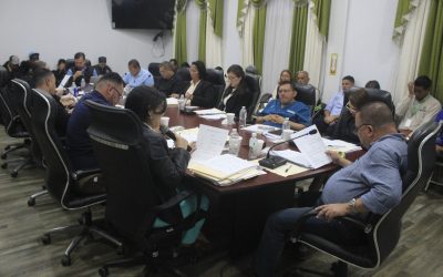 RESUMEN DE SESIÓN DE CORPORACIÓN ORDINARIA #2