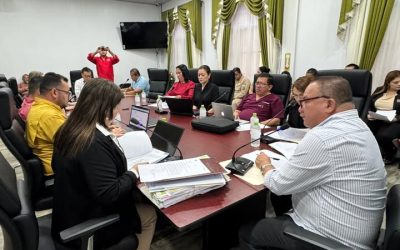 Resumen de la Sesión Ordinaria #4