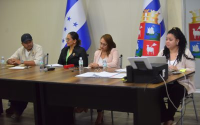 Concurso público para supervisión de pavimentación en la Primera Avenida