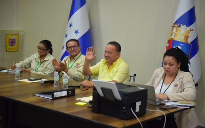 Recepción de ofertas para diseño de gradería del Estadio Excélsior