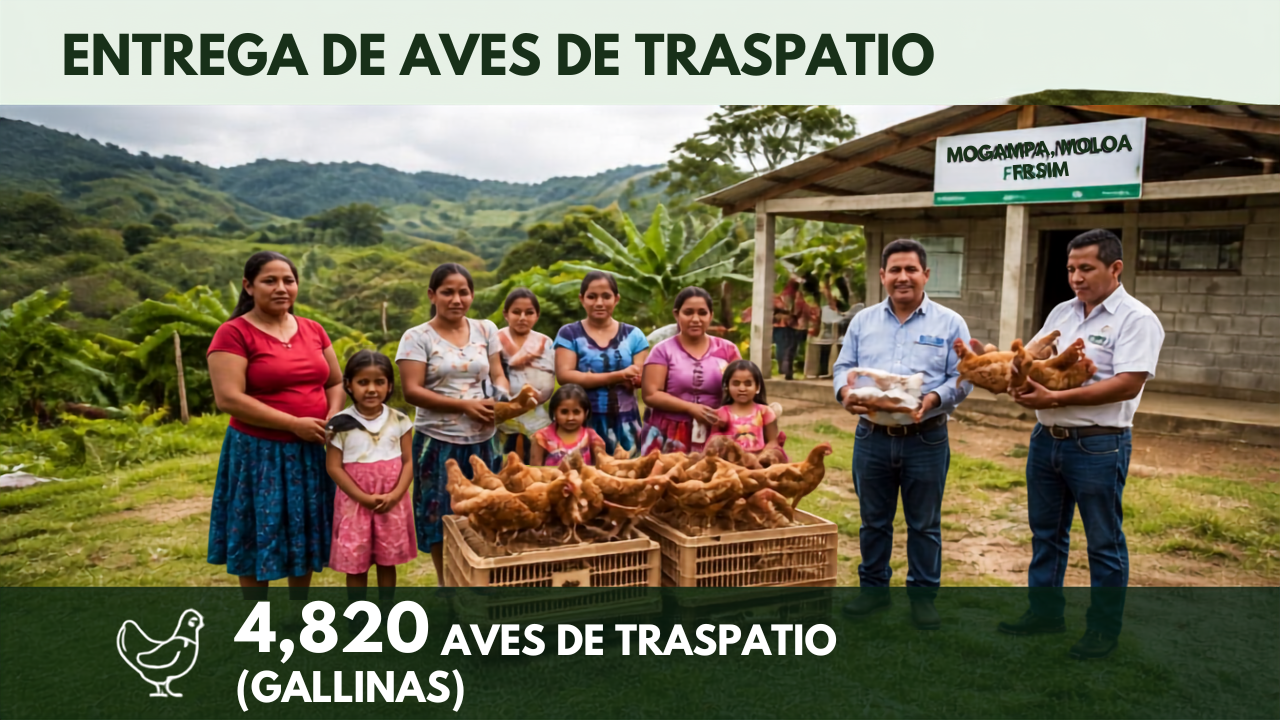 Se entregaron 4,820 aves de traspatio (gallinas).