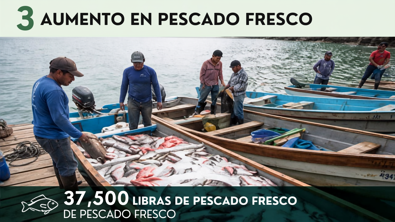 Se aumentó en 37,500 libras de pescado fresco.