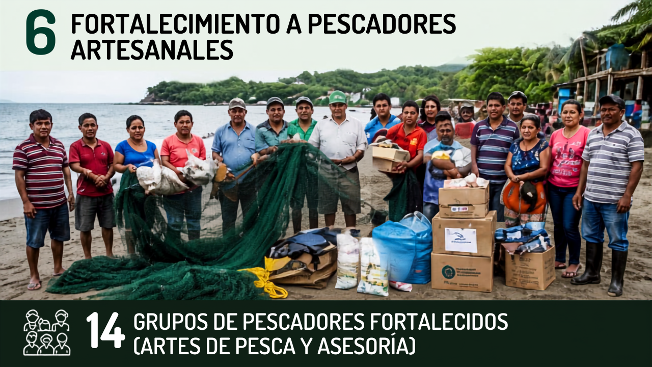 Se fortaleció a familias de 14 grupos de pescadores artesanales mediante la donación de artes de pesca, alimentos y asesorías técnicas.